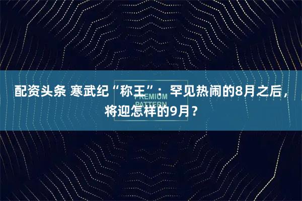 配资头条 寒武纪“称王”：罕见热闹的8月之后，将迎怎样的9月？