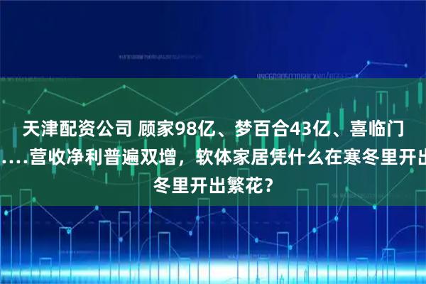 天津配资公司 顾家98亿、梦百合43亿、喜临门40亿……营收净利普遍双增，软体家居凭什么在寒冬里开出繁花？