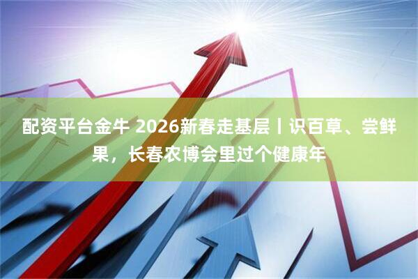 配资平台金牛 2026新春走基层丨识百草、尝鲜果，长春农博会里过个健康年