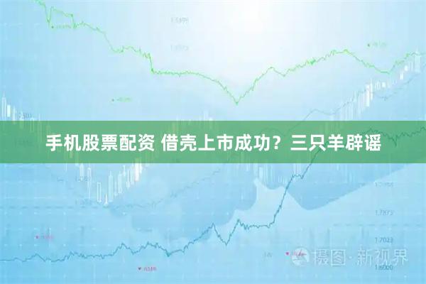 手机股票配资 借壳上市成功？三只羊辟谣