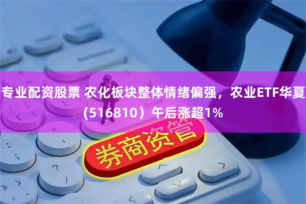 专业配资股票 农化板块整体情绪偏强，农业ETF华夏(516810）午后涨超1%