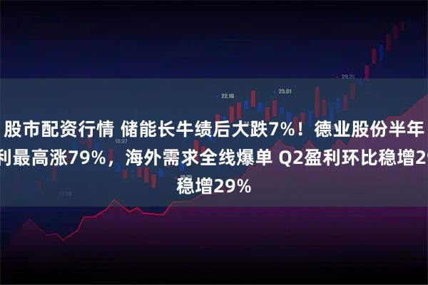 股市配资行情 储能长牛绩后大跌7%！德业股份半年净利最高涨79%，海外需求全线爆单 Q2盈利环比稳增29%